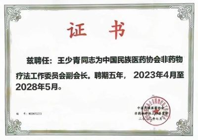 医心向党  踔厉奋进  礼赞七一专访新时代国医大师--王少青