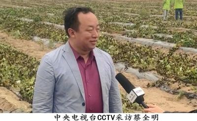 恭贺著名新时代企业家蔡全明  被CCTV央视在线直播网特聘为客座教授