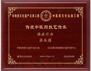 国医泰斗——张延德 National medical master —— Zhang Yande