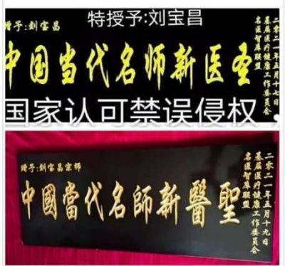 贯彻落实两会精神  访著名当代医学创新之父---刘宝昌