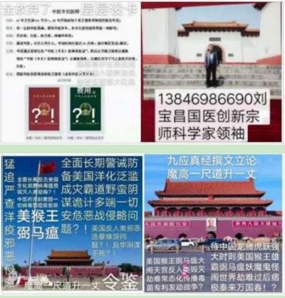 贯彻落实两会精神  访著名当代医学创新之父---刘宝昌