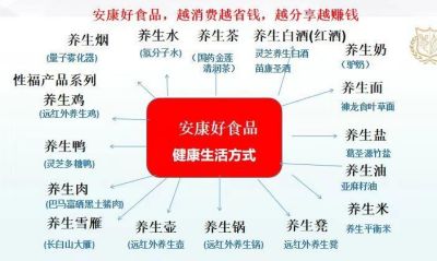 特别报道 广东碧桂科技有限公司董事长   ---甘甲鹏