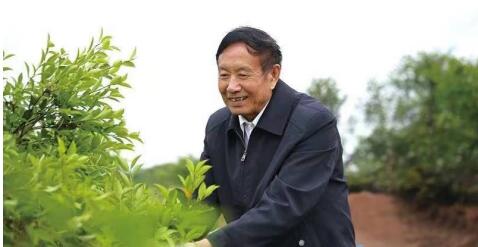 茶油珍品滴滴聚尔康一生都健康—湖南聚尔康茶油生物科技有限公司董事长曹松林