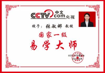 CCTV央视在线直播网特别报道  当代太极文化传播大使、陈氏太极传承人张敏娜