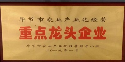 携手并进共绘南瓜产业金色梦  农耀农业与贵州乡亲共创乡村振兴新篇章