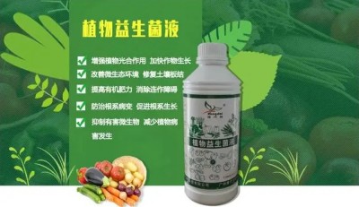 生态先锋领风尚，“康代”科技助农航——康代生物科董事长陈明仁