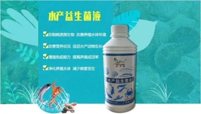 生态先锋领风尚，“康代”科技助农航——康代生物科董事长陈明仁