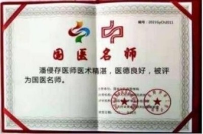 记联合国中医专业委员会主任潘侵存教授