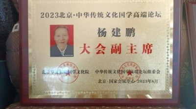 【两会献礼】国学大师 杨建鹏