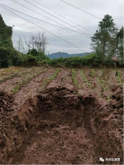 弘扬国学文化 传承易学精髓 当代易学泰斗---李春