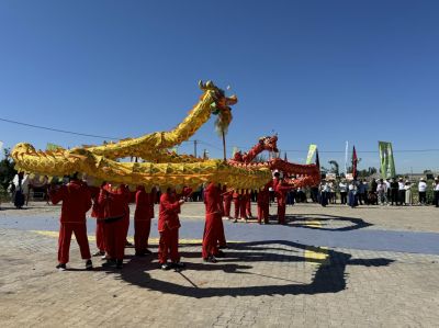 用龙文化激发中华民族伟大复兴的精神力量