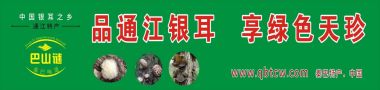 颂歌献给党  喜迎二十大   四川昶永农业发展有限公司“巴山谜”品牌创始人陈郁儒