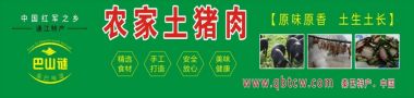 颂歌献给党  喜迎二十大   四川昶永农业发展有限公司“巴山谜”品牌创始人陈郁儒